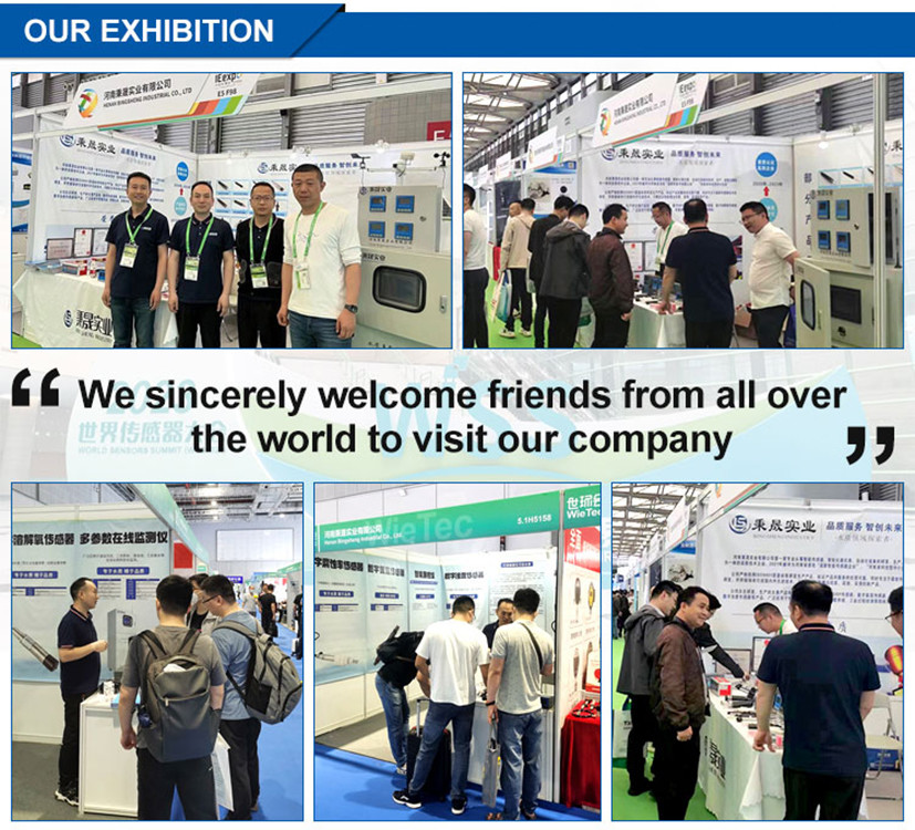 중국 Henan Bingsheng Industrial Co., Ltd. 회사 프로필
